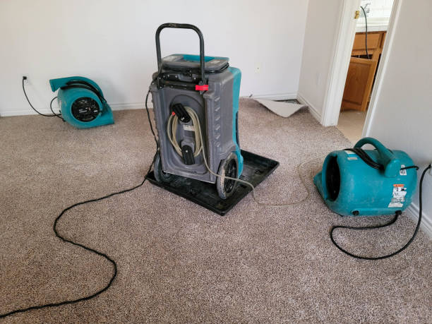 Best Ceiling water damage repair  in Emory, TX