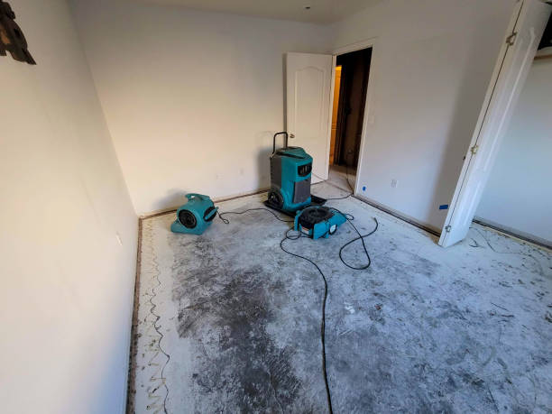 Best 24/7 water damage repair  in Emory, TX