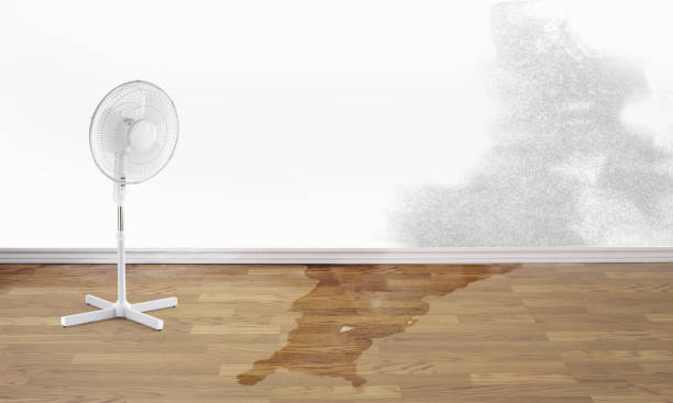 Best Water damage restoration company  in Emory, TX